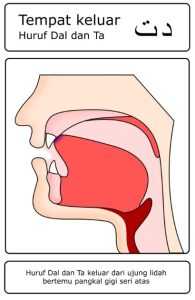 Contoh gambar huruf hijaiyah yang termasuk dalam kategori Al-Lisan (Lidah) – dal ( د )