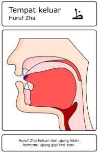 Contoh gambar huruf hijaiyah yang termasuk dalam kategori Al-Lisan (Lidah) – dho’ ( ظ )