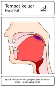 Contoh gambar huruf hijaiyah yang termasuk dalam kategori Al-Lisan (Lidah) – kaf ( ك )