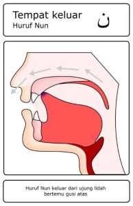 Contoh gambar huruf hijaiyah yang termasuk dalam kategori Al-Lisan (Lidah) – nun ( ن )