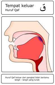 Contoh gambar huruf hijaiyah yang termasuk dalam kategori Al-Lisan (Lidah) – qof ( ق )