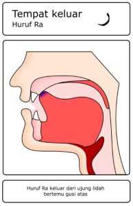 Contoh gambar huruf hijaiyah yang termasuk dalam kategori Al-Lisan (Lidah) – ro’ ( ر )