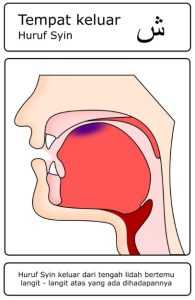 Contoh gambar huruf hijaiyah yang termasuk dalam kategori Al-Lisan (Lidah) – syin ( ش )