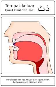 Contoh gambar huruf hijaiyah yang termasuk dalam kategori Al-Lisan (Lidah) – tsa’ ( ث )