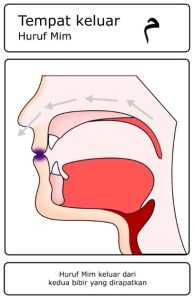 Contoh gambar huruf hijaiyah yang termasuk dalam kategori Asy-Syafatain (Dua Bibir) – mim ( م )